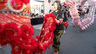 Chinese New Year Celebration 2016 - Dragon Dance