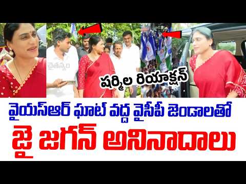 "Jai Jagan" slogans raised with YSRCP flags at YSR Ghat | YS Jagan | YS Sharmila | YSRCP