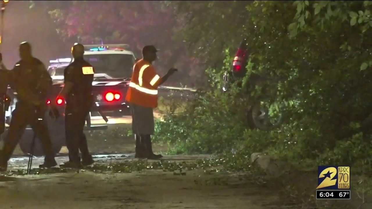 Woman killed after hitting tree in the middle of the road - YouTube