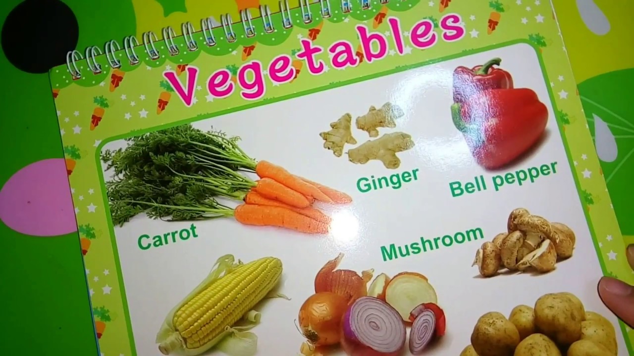 Infants Learning ABC Wall map(Episode 2)