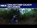 Watch: Woodinville owl steals hat from runner on Paradise Valley Trail | FOX 13 Seattle