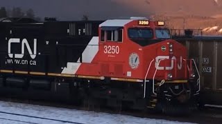 CN stack train stopping in Jasper AB to Vancouver BC