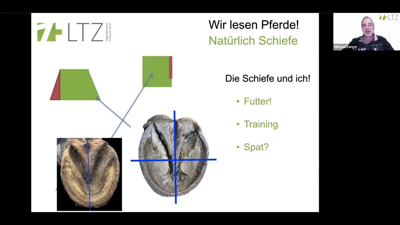 Hufzeit High/Low Teil 2: Wie die natürliche Schiefe High/Low begünstigt!