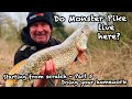 Do Monster Pike live here - Doing your homework Part 5