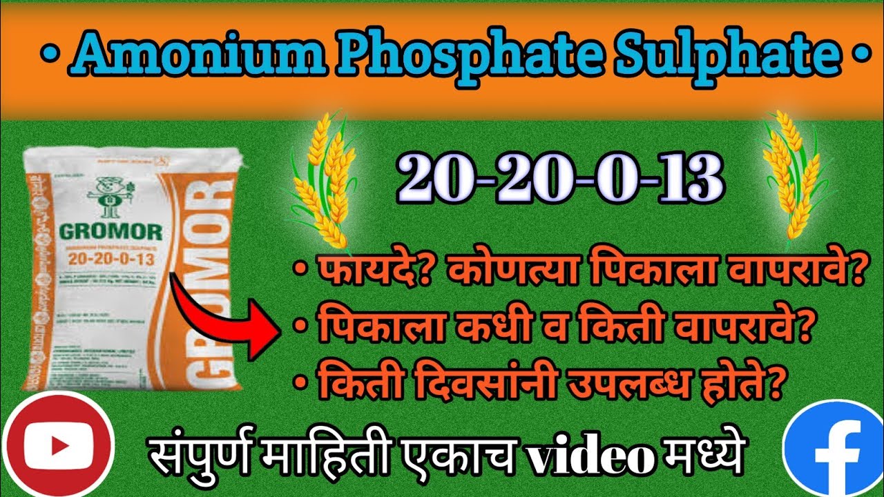 Fertilizer 20 20 0 13 Fertilizer Ammonium Phosphate Sulphate 20 20 fertilizer-20-20-0-13-fertilizer-ammonium-phosphate-sulphate-20-20