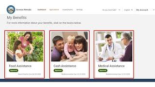 Exploring the Access Nevada Website