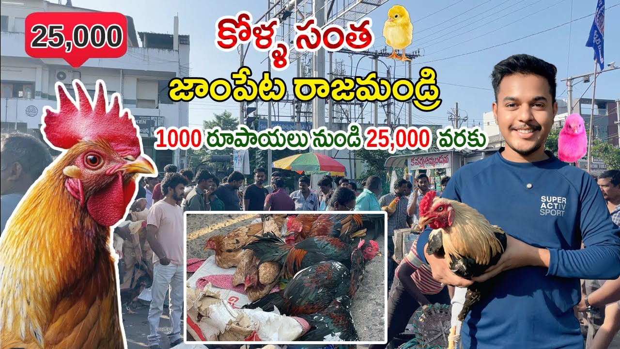 Rajahmundry Kolla Market 🦃 | Rajahmundry Kolla Santha 🐓 | Natu Kodi Market #natukodi 