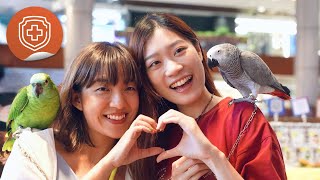 Hong Kong stories Tails of the City: The Magic of Wings screenshot 3