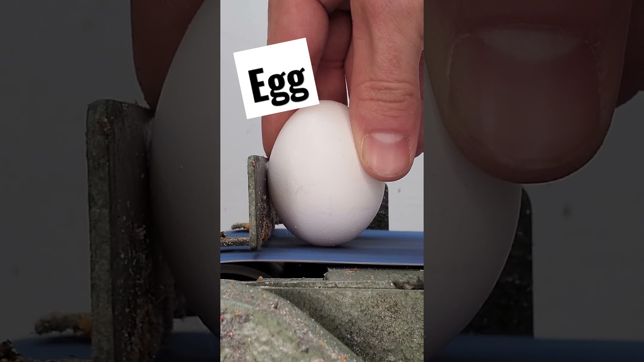 ever see a egg get sanded? 