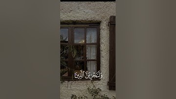 من أعذب تلاوات الشيخ محمد ايوب #quran