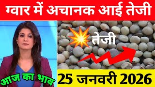 25 जनवरी 2026 ग्वार का भाव, Guar ka taza bhav, guar rate today, guargum ka bhav, guar ka aah ka bhav