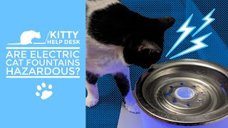 Are Electric Cat Fountains Hazardous? by Kitty Help Desk 619 views 6 months ago 5 minutes, 37 seconds