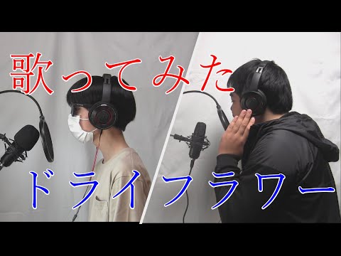 【歌ってみた】ドライフラワー/cover by アニマルスターズ