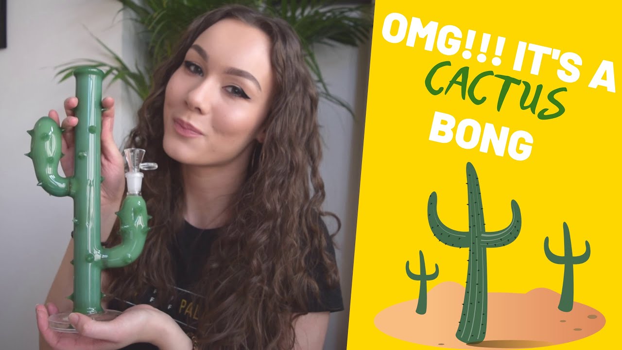 Black Leaf Cactus Bong Review - Looking Sharp! | Puff Puff Palace