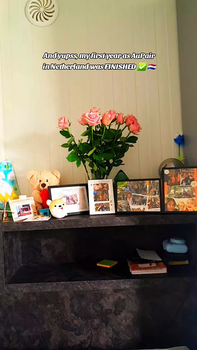 Goodbye Netherlands, Hello Belgium 🇳🇱➡️🇧🇪 | Aupair Journey #aupairlife