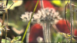 Series 2 - Episode Four - Oasis HD and NCC - Carden Alvar, ON - Lou and Judy Probst