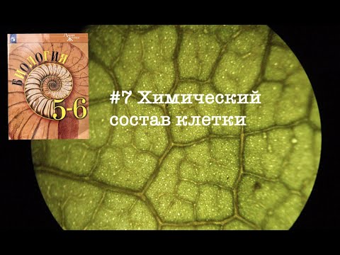 Биология 5-6 (Пасечник) аудио Параграф 7 «Химический состав клетки»