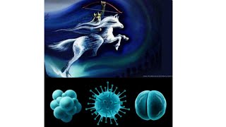 Crown And Bow - The Spike Toxon