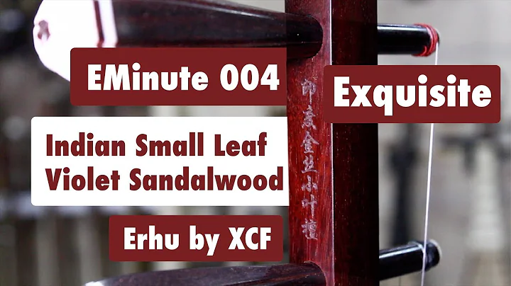 EMinute 004  - Exquisite Indian Small Leaf Violet ...