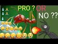 I roast pro ant  comedy special