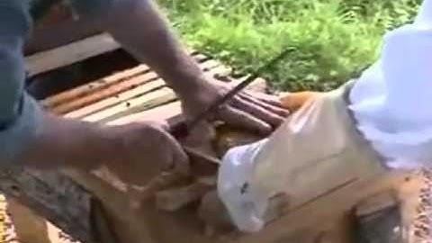 How to Convert From Frames to Top Bars: The 