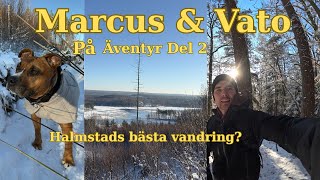  Vandring i Halmstad – ett av stadens bästa guldkorn?