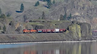 Railfanning the Scenic Columbia River Gorge BNSF & UP