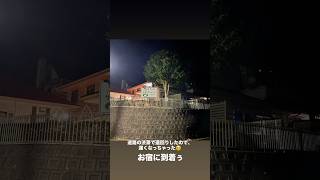 黒もしょ～ず、お正月休みとして伊豆に遊びに行く（Instagram Stories 2026年1月9日）#dogshorts #じんきはいっしん #jinkihaisshin