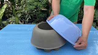 DIY  Cement Craft Ideas / How To Make Plant Pot From Plastic Basin / So Great Creation