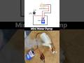 Mini Water Pump #electronic #electrical #miniwaterpump #wiringdiagram #electric #engineering