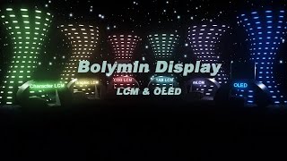 Bolymin Display Character LCM Graphic LCM COG LCM TAB LCM mLCM OLED