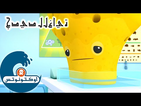 16 أوكتونوتس إسفنجة البحر السلسلة 3 الحلقة