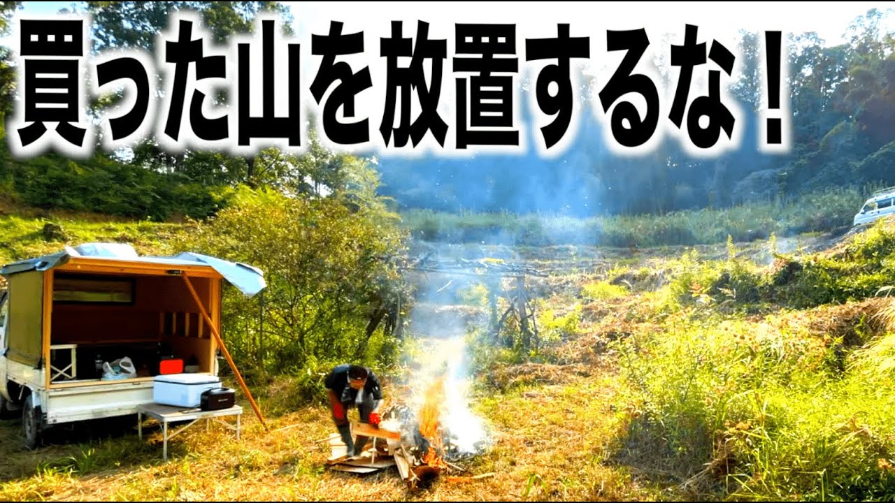 外来種が無限大繁殖！自作軽キャンで久々に山に行ったら想像超えててビビった。
