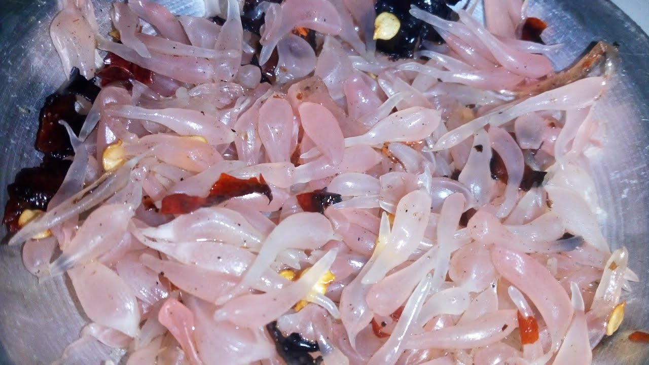 Ep:18 # olpo somoye jambora vorta recipe//Mini cooking studio