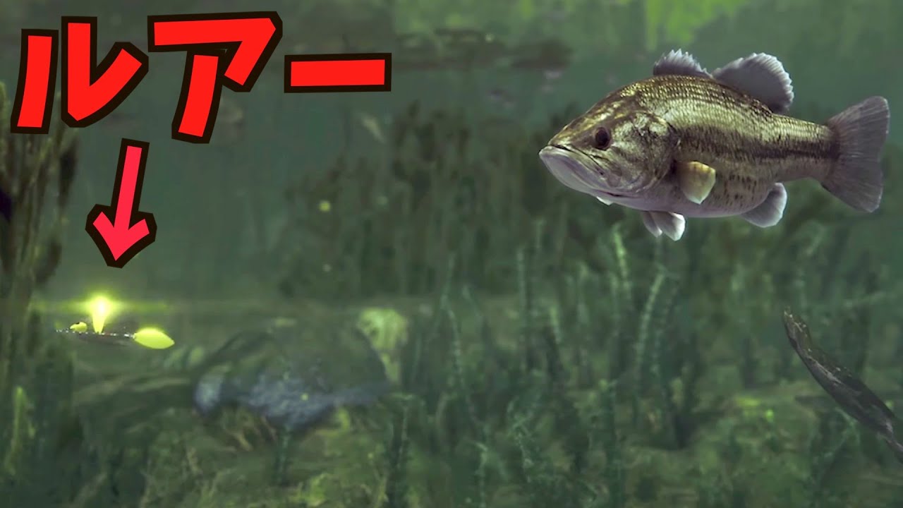 バス釣り 夜の野池で50up狙いのバス釣りするぞ生放送ゲームライブ Youtube バス釣り 夜の野池で50up狙いのバス釣りするぞ生放送ゲームライブ Youtube