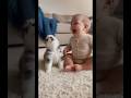 "We deliver heartwarming videos of babies, puppies/dogs, and cute animals every day