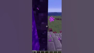 Day 35: Building a Minecraft House One Block a Day