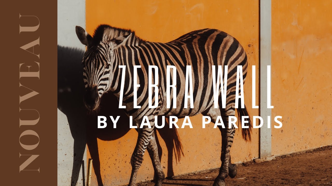 TV ART Photography Zebra Wall by Laura Paredis 4K Screensaver for