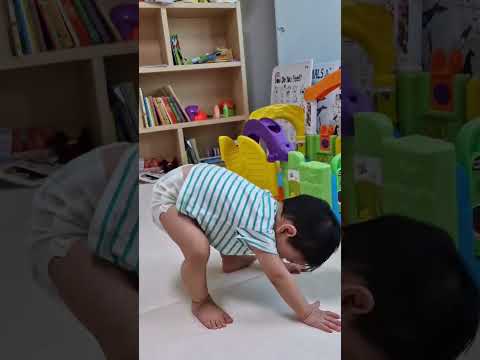 일어서기 위해 고군분투하는 중#shorts #17개월아기