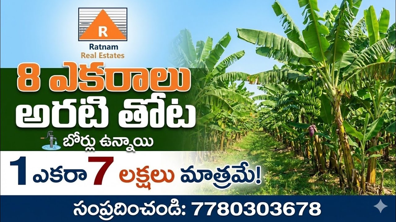 8 ఎకరాల అరటి తోట అమ్మకానికి 3  బోర్లు జాలి ఫినిషింగ్ ఫుల్ రెడ్ సాయిల్ తారు రోడ్డు నుండి 3 km