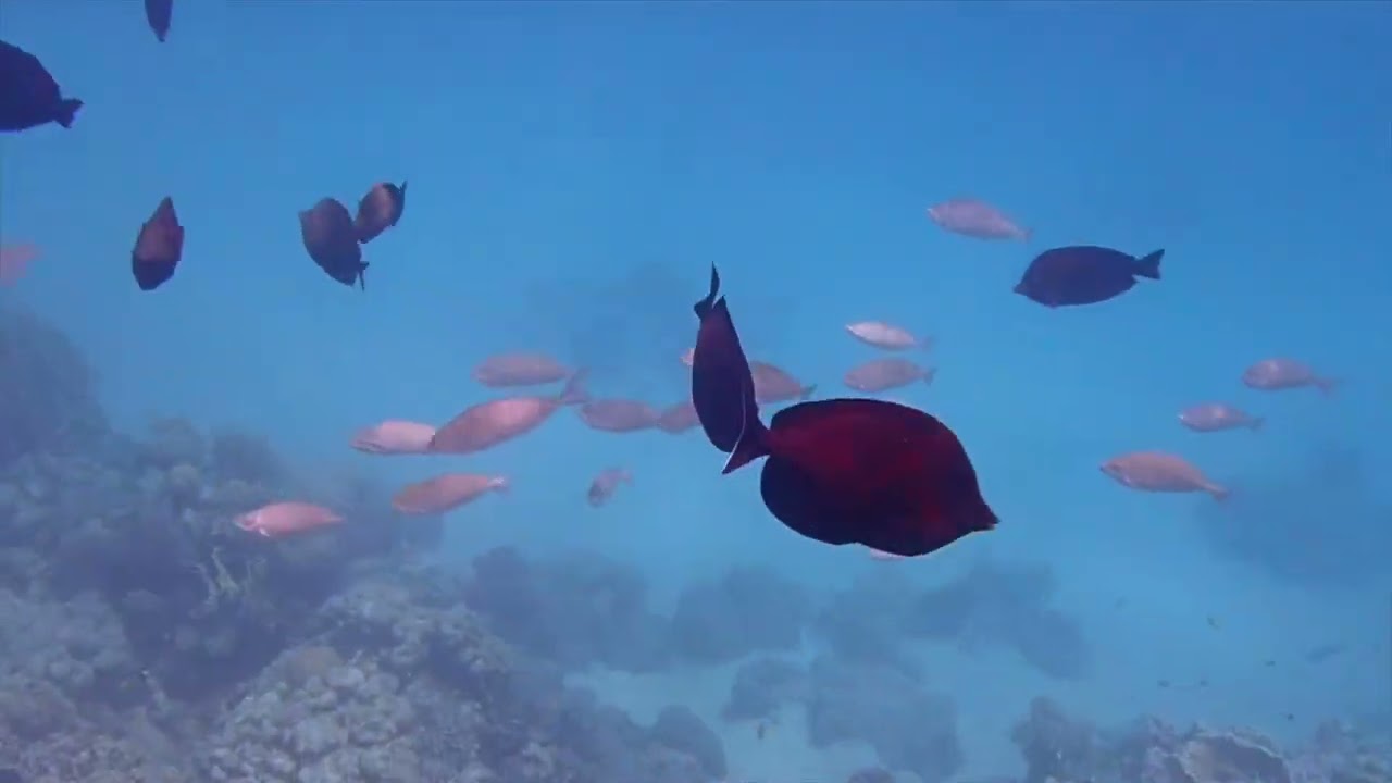 Csodás Egyiptom - Makadi-öböl