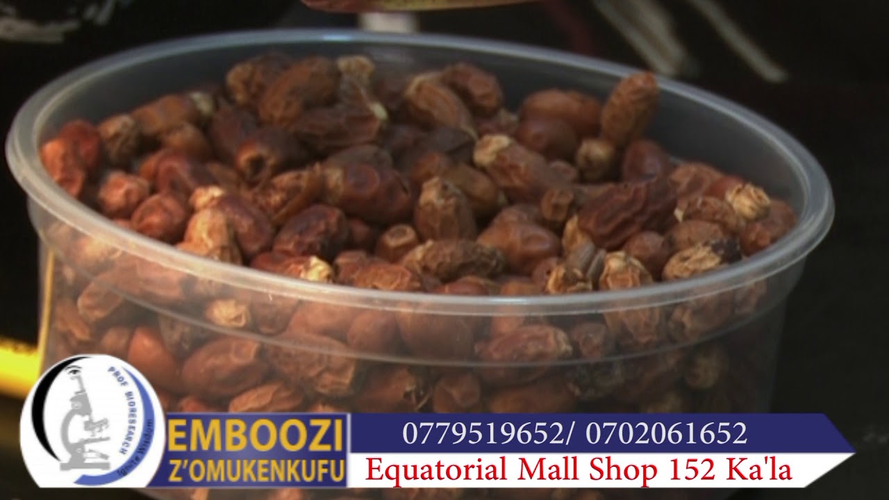 PROF BIORESEARCH EMBOOZI Z'OMUKENKUFU MPIRIVUMA (AFRICAN WILD PALM