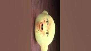 Annoying Orange The day the store stood still clip