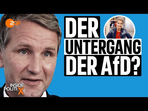 Machtkampf um die AfD-Parteispitze - Showdown in Sachsen? | Inside PolitiX