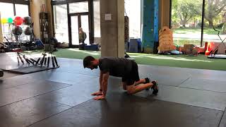 Lateral Crawl in Quadruped