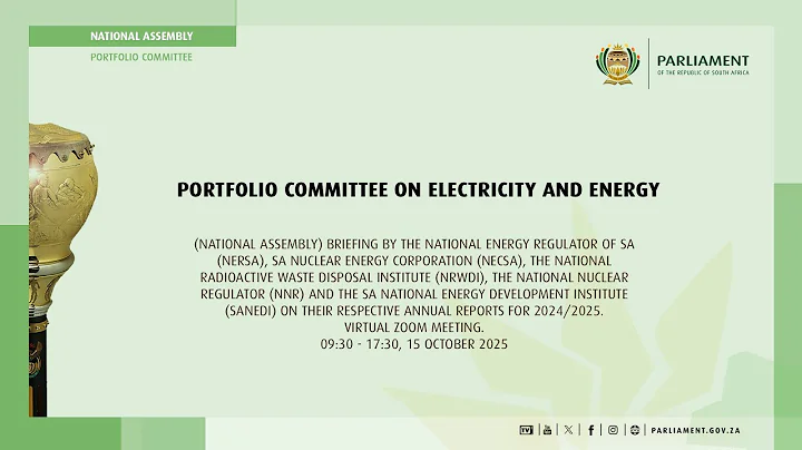 Portfolio Committee on Electricity and Energy, 15 October 2025
