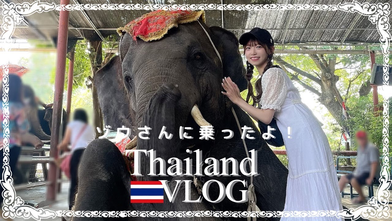 タイVlog】タイが最高すぎた！🇹🇭ゾウさんにも乗ったよ🐘【お土産紹介