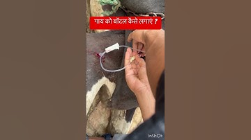 Intravenous injection l dr Umar Khan