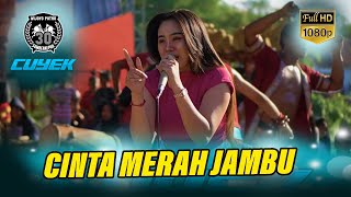 CINTA MERAH JAMBU - Jaranan NEW WIJOYO PUTRO Live Gebangangkrik Ngimbang