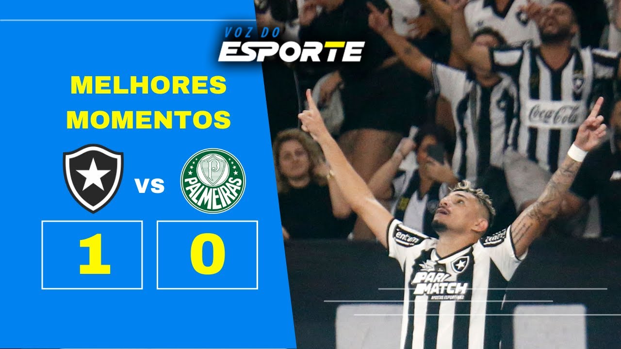 BOTAFOGO 1 X 0 PALMEIRAS - MELHORES MOMENTOS | BRASILEIRÃO 17ª RODADA ...